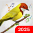 icon Birds Ringtones 2.0.39