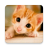icon Kitten Wallpapers 4.0.kitten