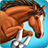 icon ShowJumping 1.3.1347