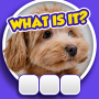 icon Guess it! Zoom Pic Trivia Game