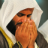 icon Alafasy Ringtones 1.1