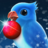 icon The Birdcage 1.0.4207