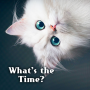 icon jp.co.a_tm.android.plus_whats_the_time
