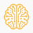 icon Brainquire 4