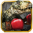 icon Dinosaurs Fighting Game 1.0