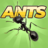 icon Pocket Ants 0.0609