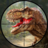 icon Real Wild Animal Hunting Games: Dino Hunting Games 1.11