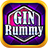 icon Gin Rummy 3.6