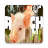 icon Ranch Simulator Free Advices 1.0