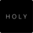 icon HOLY AG 4.1.300