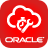 icon Field Service 22.11.2.1