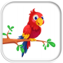 icon Parrot Escape