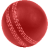 icon Cricket Scorer 1.0.15