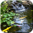 icon Pond with Koi Video Wallpaper 5.0