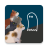 icon Cats Who Stare At Ghosts 1.1.10