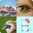 icon 4 Fotos 1 Palabra 10.16.6