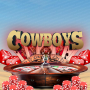 icon com.boysofcowboys.playgame
