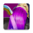 icon Hair DyeSalon Simulator 1.0