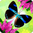 icon Flutter 2.75