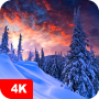 icon Winter Wallpapers 4K for itel PowerPro P41