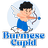 icon Burmese Cupid 1.0.7