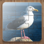 icon Bird Puzzle Games Free