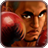 icon Pro 3D Boxing 2.0.2