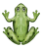 icon LeonardFrog 3.8.8
