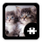 icon Cats & Kittens Puzzle 1.5.1