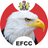 icon Eagle Eye 1.0.0