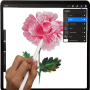 icon New Procreate Paint Free Painting Guide