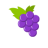 icon Catcher Grapes 2.01