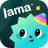 icon Lama 4.10.4