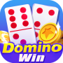 icon Domino Win