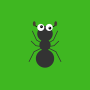 icon Ant