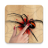 icon Spider Smasher 1.6