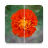 icon Video quality enhancer & editor 8.0