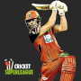 icon Wicket Cricket Super League