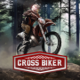 icon Cross Biker