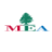 icon MEA 5.0