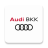 icon Audi BKK 25.15.1