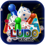 icon Ludo Racing