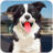 icon Pet Shelter Simulator 1.0.1