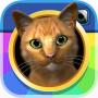 icon InstaKitty