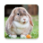 icon Rabbit Sounds 1.1.24