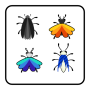 icon Bug Breeding for Samsung Galaxy Y Plus(GT-S5303)