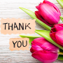 icon Thank You Stickers
