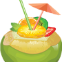 icon Fruit Splasher