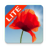 icon Poppy Field Lite 3.14