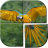 icon Bird Puzzle Games Free 1.8